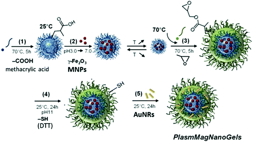 Graphical abstract: Tuning the load of gold and magnetic nanoparticles in nanogels through their design for enhanced dual magneto-photo-thermia