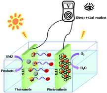 Graphical abstract: A dual-photoelectrode photofuel cell based self-powered aptasensor using a multimeter as a direct visual readout strategy
