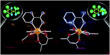 Graphical abstract: Probing optical and magnetic properties via subtle stereoelectronic effects in mononuclear DyIII-complexes
