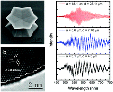 Graphical abstract: Individual concave twin ZnO microdisks with optical resonances
