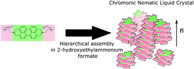 Graphical abstract: Chromonic nematic liquid crystals in a room-temperature ionic liquid