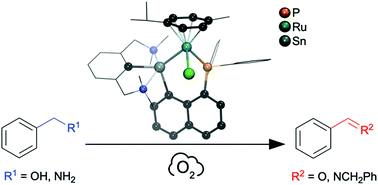 Graphical abstract: Sn,P-coordinated Ru cation: a robust catalyst for aerobic oxidations of benzylamine and benzyl alcohol