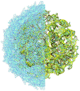 Graphical abstract: Reconstruction and validation of entire virus model with complete genome from mixed resolution cryo-EM density