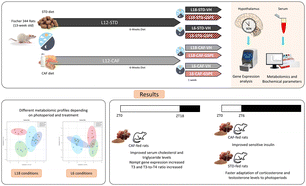 Graphical abstract: Metabolism disturbance by light/dark cycle switching depends on the rat health status: the role of grape seed flavanols