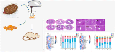 Graphical abstract: Konjac glucomannan-assisted curcumin alleviated dextran sulfate sodium-induced mice colitis via regulating immune response and maintaining intestinal barrier integrity