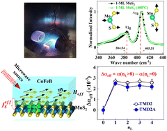 Graphical abstract: High temperature stability in few atomic layer MoS2 based thin film heterostructures: structural, static and dynamic magnetization properties