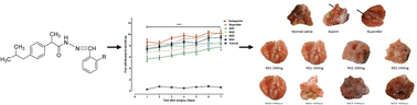 Graphical abstract: Bio-oriented synthesis of ibuprofen derivatives for enhancement efficacy in post-operative and chronic inflammatory pain models
