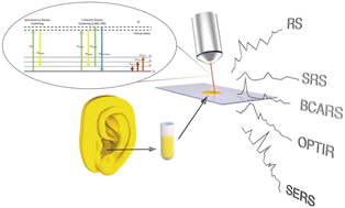 Graphical abstract: Advancing cerumen analysis: exploring innovative vibrational spectroscopy techniques with respect to their potential as new point-of-care diagnostic tools