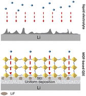 Graphical abstract: A fluorinated metal–organic framework-based quasi-solid electrolyte for stabilizing Li metal anodes