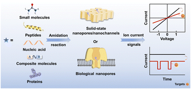 Graphical abstract: Towards effective functionalization of nanopores/nanochannels: the role of amidation reactions