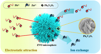 Graphical abstract: Hierarchical Zn3(OH)2V2O7·2H2O microsphere adsorbents for highly-efficient removal of Pb2+