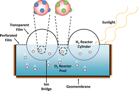 Graphical abstract: Levelized cost and carbon intensity of solar hydrogen production via water splitting using a scalable and intrinsically safe photocatalytic Z-scheme raceway system
