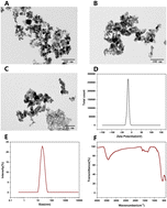 Graphical abstract: Enhancing maize stress tolerance with nickel ferrite nanoparticles: a sustainable approach to combat abiotic stresses