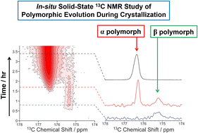 Graphical abstract: NMR crystallization: in situ NMR strategies for monitoring the evolution of crystallization processes