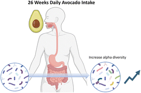 Graphical abstract: Impact of daily avocado consumption on gut microbiota in adults with abdominal obesity: an ancillary study of HAT, a randomized controlled trial