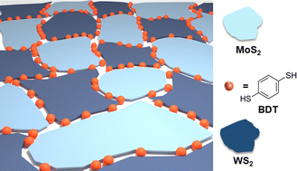 Graphical abstract: Defect-engineering of liquid-phase exfoliated 2D semiconductors: stepwise covalent growth of electronic lateral hetero-networks