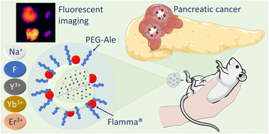 Graphical abstract: Intraperitoneal versus intravenous administration of Flamma®-conjugated PEG-alendronate-coated upconversion nanoparticles in a mouse pancreatic cancer model