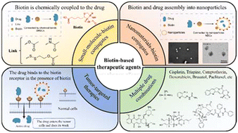 Graphical abstract: Recent advances in biotin-based therapeutic agents for cancer therapy
