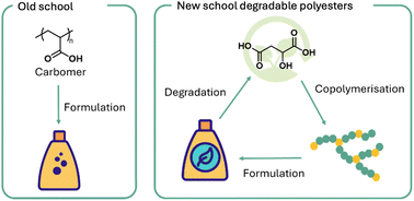 Graphical abstract: Poly(malic acid) copolymers as degradable rheology modifiers in aqueous formulations