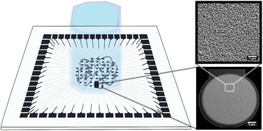Graphical abstract: Nanoporous platinum microelectrode arrays for neuroscience applications
