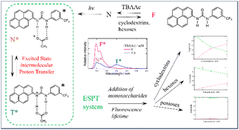 Graphical abstract: Recognition of specific monosaccharides by fluorescence change through the suppression effect on excited-state intermolecular proton transfer reactions