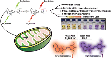 Graphical abstract: A red-shifted donor–acceptor hemicyanine-based probe for mitochondrial pH in live cells