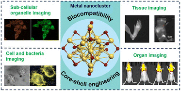 Graphical abstract: Ultrasmall metal nanoclusters as efficient luminescent probes for bioimaging