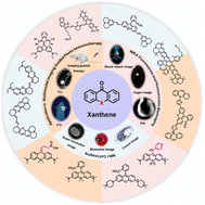 Graphical abstract: Xanthene-based NIR organic phototheranostics agents: design strategies and biomedical applications