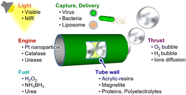 Graphical abstract: Photocurable polymer-based tubular micromotors: advancing toward life science applications