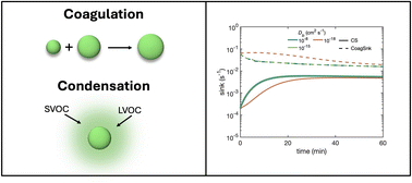 Graphical abstract: Impact of particle phase state on the competition between condensation and coagulation