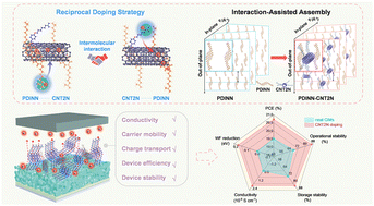 Graphical abstract: Dual-molecule reciprocal doping strategy for cathode interfacial materials enables over 20.7% efficiency in organic solar cells