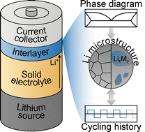 Graphical abstract: Microstructure of electrodeposited lithium and its evolution during cycling when using metal interlayers in “anode-free” solid-state batteries