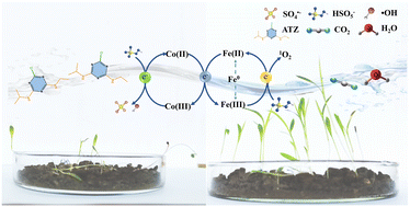 Graphical abstract: MOF-on-MOF derived magnetic CoFe2O4@Fe0 nanocomposites for ultra-rapid peroxymonosulfate activation: mechanistic insights and eco-toxicological validation
