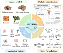 Graphical abstract: Curcumin and its novel formulations for diabetes mellitus and its complications: a review