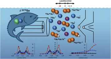 Graphical abstract: Capabilities and limitations of Se isotopic analysis using hydride generation coupled to MC-ICP-MS