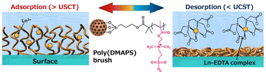 Graphical abstract: Development of an adsorption–desorption technique for the recovery of rare-earth metal ions using the phase transition behavior of zwitterionic polymer brushes
