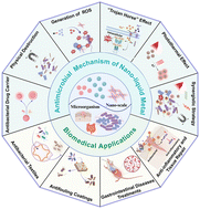 Graphical abstract: Gallium-based nano-liquid metals enabled antimicrobial mechanisms and biomedical applications