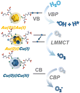 Graphical abstract: Ultrasmall glutathione-protected Au/Cu and their alloy nanoclusters with specific ROS generation