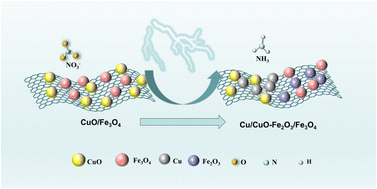 Graphical abstract: Construction of carbon nanotube-supported CuO–Fe3O4 dual-site catalysts for ambient electrosynthesis of ammonia