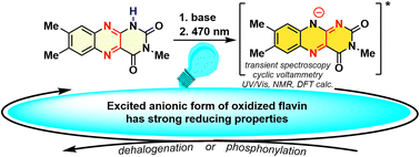 Graphical abstract: Introduction of flavin anions into photoredox catalysis: acid–base equilibria of lumichrome allow photoreductions with an anion of an elusive 10-unsubstituted isoalloxazine