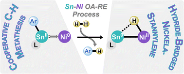 Graphical abstract: Cooperative metathesis of H–H/Sn–CAr bonds in stannylene-Ni0 systems