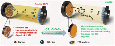 Graphical abstract: A liquid-like quasi-solid polymer electrolyte for high-performance sodium metal batteries