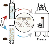 Graphical abstract: Capturing the sol and gel states of thermoresponsive poly(2-oxazoline)/-(2-oxazine) hydrogels by ambient and subambient solid-state NMR