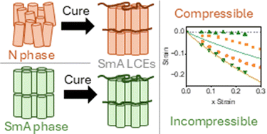 Graphical abstract: The effect of templating on the mechanical properties of smectic liquid crystal elastomers