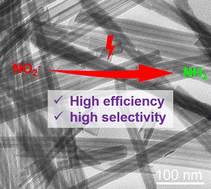 Graphical abstract: Construction of oxygen-bridged multi-interface sites in nanotubes for high-efficiency electrocatalytic nitrite reduction to ammonia