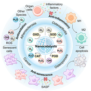 Graphical abstract: Nanocatalytic regulation of age-related diseases