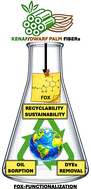 Graphical abstract: Functionalization of lignocellulosic based fibers for enhanced and sustainable wastewater pollutant removal