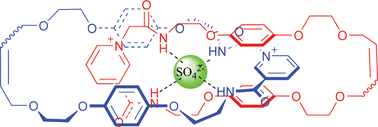 Graphical abstract: Sulfate anion templation of macrocycles, capsules, interpenetrated and interlocked structures