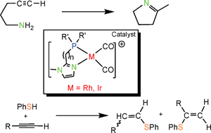 Graphical abstract: Rhodium(I) and iridium(I) complexes containing bidentate phosphine-imidazolyl donor ligands as catalysts for the hydroamination and hydrothiolation of alkynes