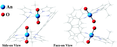 Graphical abstract: Theoretical predictions of cofacial bis(actinyl) complexes of a stretched Schiff-base calixpyrrole ligand